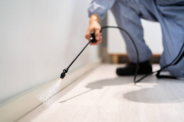 Licensed Pest Control service in Orleans, VT - Show Me Pest Control